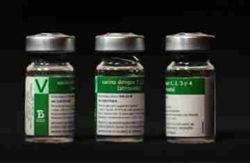  Aplicação da vacina da dengue do Butantan começará a partir do dia 17 